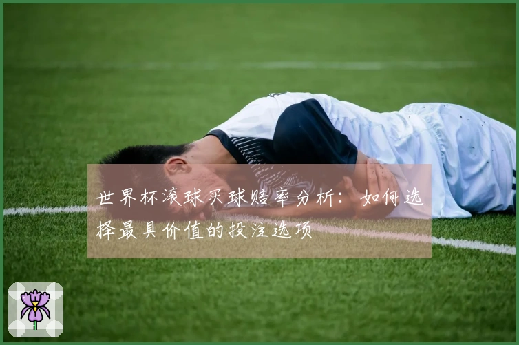 世界杯滚球买球赔率分析：如何选择最具价值的投注选项