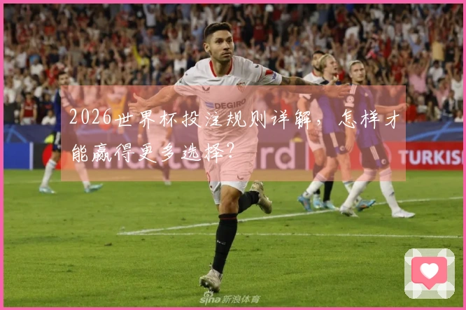 2026世界杯投注规则详解，怎样才能赢得更多选择？
