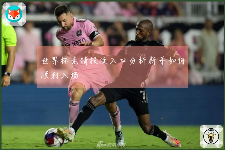 世界杯竞猜投注入口分析新手如何顺利入场