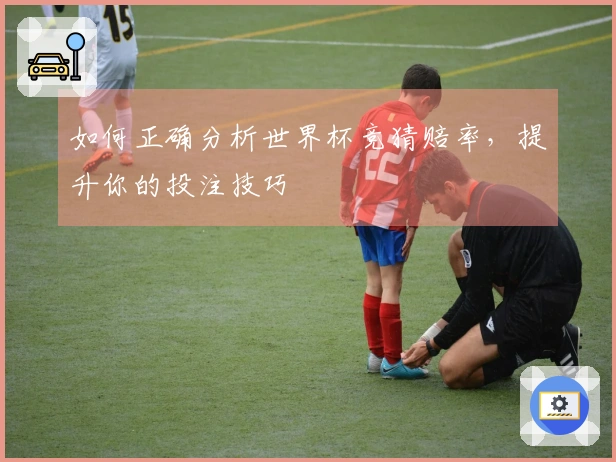 如何正确分析世界杯竞猜赔率，提升你的投注技巧