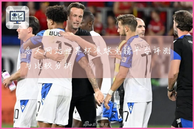 各大网站世界杯滚球竞猜平台评测与比较分析