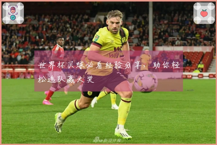世界杯买球必看经验分享，助你轻松选队赢大奖
