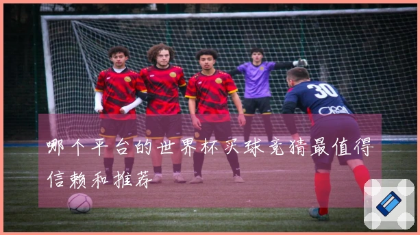 哪个平台的世界杯买球竞猜最值得信赖和推荐