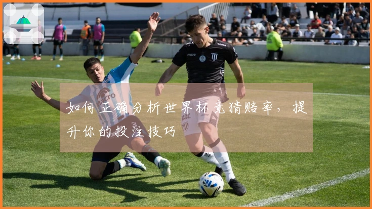 如何正确分析世界杯竞猜赔率，提升你的投注技巧