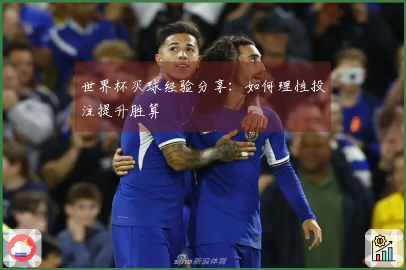 世界杯买球经验分享：如何理性投注提升胜算