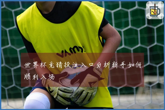 世界杯竞猜投注入口分析新手如何顺利入场