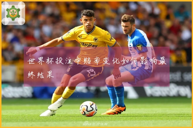 世界杯投注中赔率变化如何影响最终结果